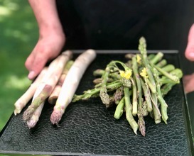 Asparagus before cooking