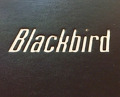 Meal at Chicago – Blackbird 