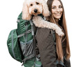 dog carrier