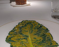 Dinner at Ristorante Reale