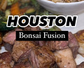 Dinner at Bonsai Fusion
