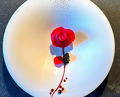 Dinner at Verso Ristorante