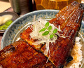 Dinner at うなぎの中庄心斎橋店