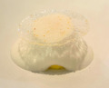 Dinner at Plaisance by Mauro Colagreco
