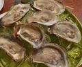 Dinner at The Oyster Bar Columbia