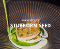 Dinner at Miami Beach, Florida