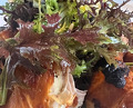 Dinner at Hog Island Oyster Company