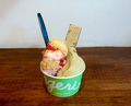 Dinner at SLOW GELATO in bulk