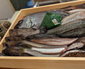 Dinner at あか吉