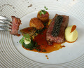 Dinner at Restaurant Hofstede De Blaak