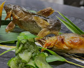 Dinner at 赤坂おぎ乃