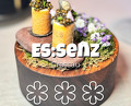 Dinner at Restaurant es:senz_EdipSigl
