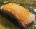Dinner at すし屋　蓮太郎