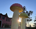 Dinner  at NOMA -Pop up in Los Angeles (The Paramour Estate)