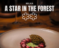 Dinner at Restaurant Milka