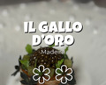 Dinner at Il Gallo D'Oro / PortoBay Hotels & Resorts
