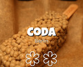 Dinner at CODA Berlin