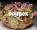 Dinner at Restaurant Doubek