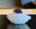 Dinner at 鮨 三心 - Sushi SANSHIN