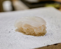 Dinner at 鮨 なんば 日比谷 -Sushi Namba