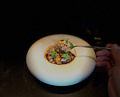 Dinner at West Palm Beach, Florida