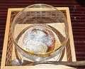 Dinner at Aji Arai