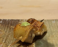 Dinner at Yakitori Koto (焼き鳥 こと)