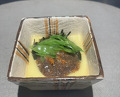 Dinner at Kotowari o Hakaru Mise Bando (ことわりをはかるみせ ばんどう)