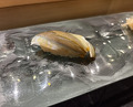 Dinner at Kyogoku Zushi (京極寿司)