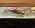 Dinner at Kyogoku Zushi (京極寿司)