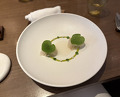 Dinner at LATURE (ラチュレ)