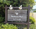 Dinner at Budoonomori Les Tonnelles (レストランぶどうの森 レ・トネル)