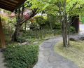 Dinner at Marushin (丸新)