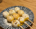 Dinner at Yakitori Mizuki (焼鳥 みずき)