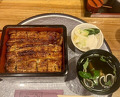 Dinner at Unagi Musashino (鰻 むさし乃)