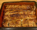 Dinner at Unagi Musashino (鰻 むさし乃)