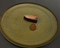 Dinner at PRESENTE Sugi (プレゼンテ スギ)