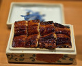 Dinner at Japanese restaurant Seizan