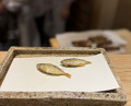 Dinner at Nihonbashi Sonoji (日本橋 蕎ノ字)