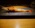 Dinner at Hayato (隼)