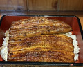 Dinner at Ikewanagi no Mise Tsugumi An (活鰻の店 つぐみ庵)