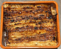 Dinner at Unagi Uomasa (うなぎ 魚政)