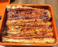 Dinner at Unagi Uomasa (うなぎ 魚政)