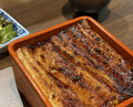 Dinner at Unagi Uomasa (うなぎ 魚政)