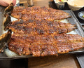 Dinner at Uran (う嵐)