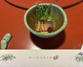 Dinner at Wada Kin (和田金)