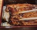Dinner at Yamasei (山勢)