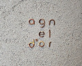 Dinner at agnel d'or (アニエルドール)