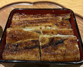 Dinner at Sangubashi Asaya
