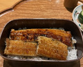 Dinner at Sangubashi Asaya